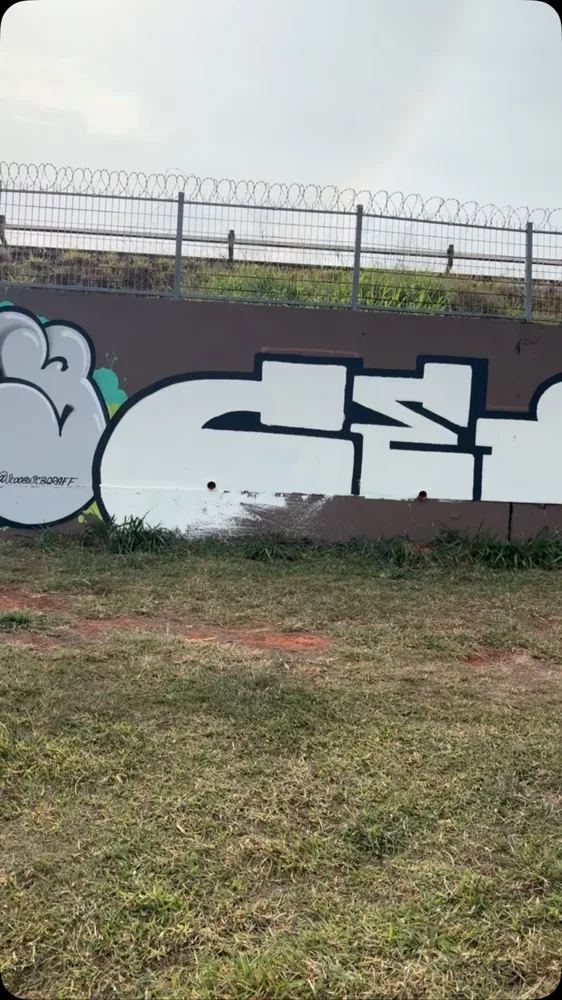 Letras prateadas de grafite sobre muro junto a um terreno gramado